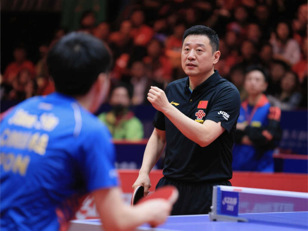 在面对种类 在面对种类