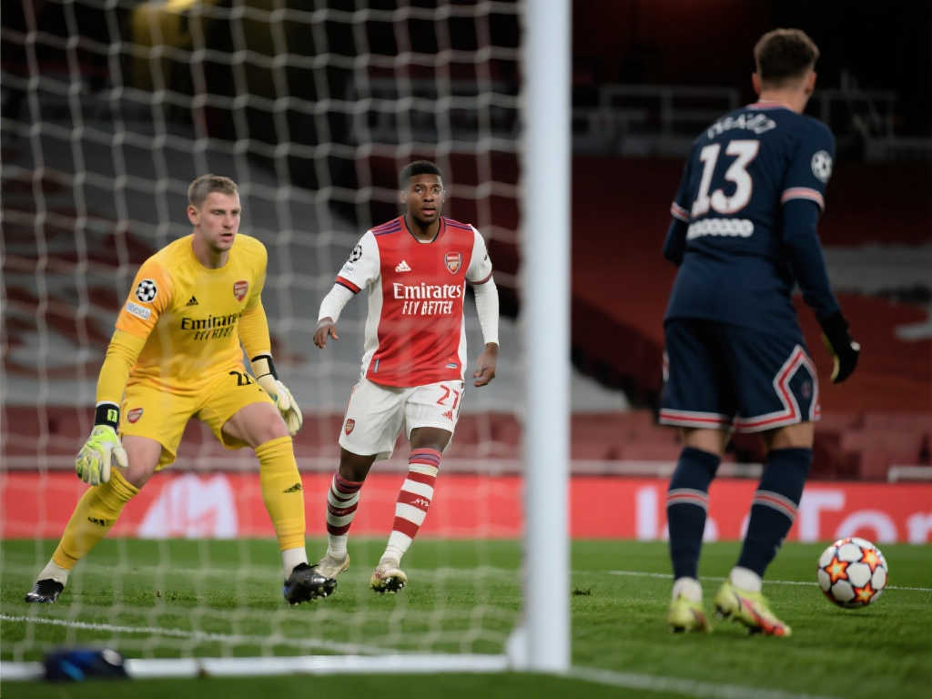 这表明该球 这表明该球